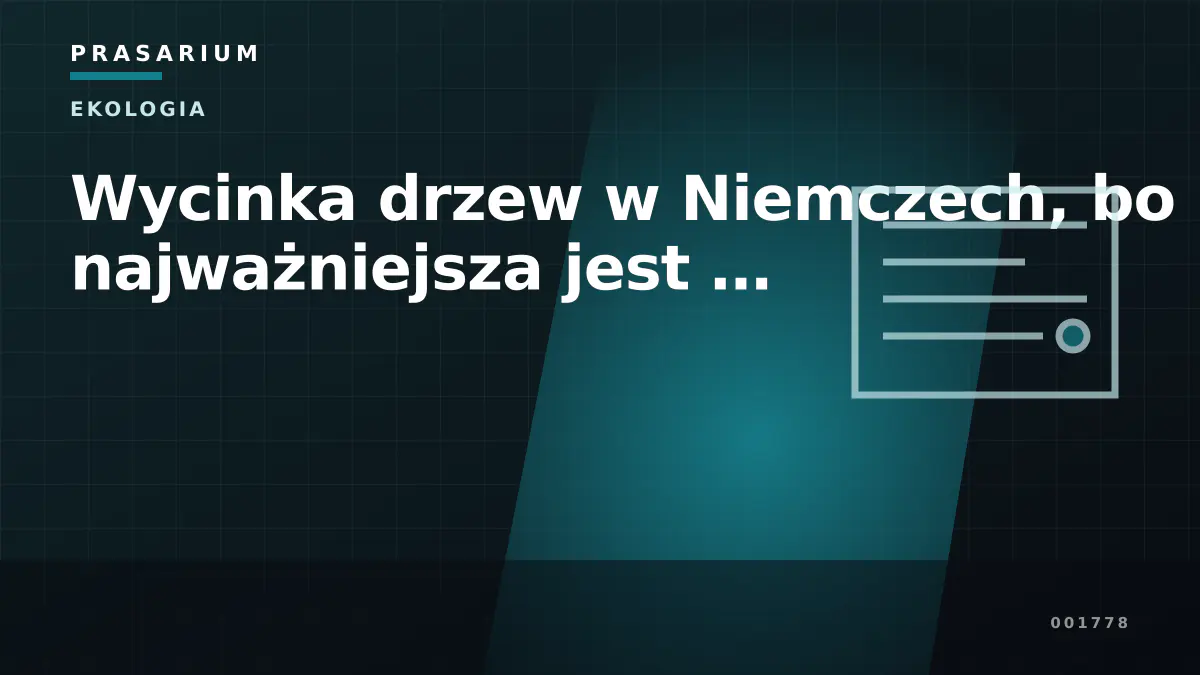 Wycinka drzew w Niemczech, bo najważniejsza jest …