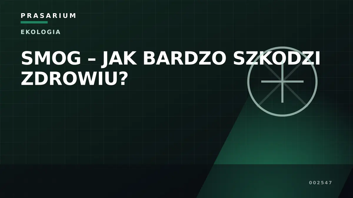 SMOG – JAK BARDZO SZKODZI ZDROWIU?