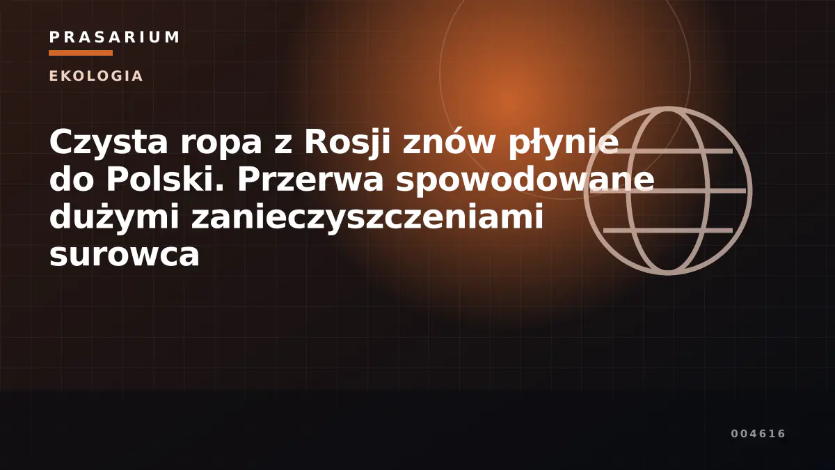 Czysta ropa z Rosji znów płynie do Polski. Przerwa spowodowane dużymi zanieczyszczeniami surowca