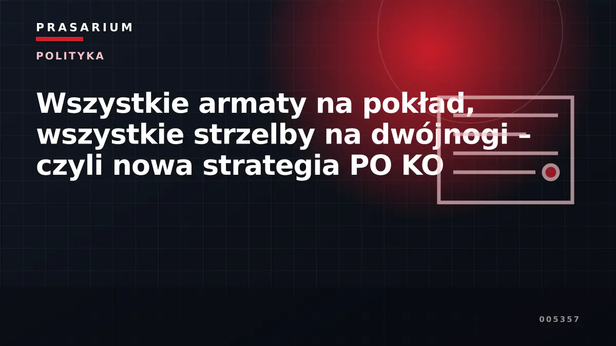 Wszystkie armaty na pokład, wszystkie strzelby na dwójnogi – czyli nowa strategia PO KO