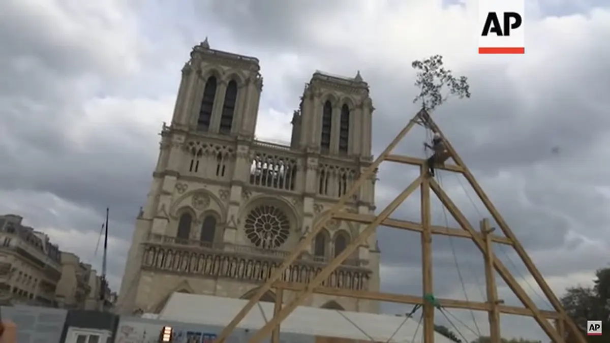 Katedra Notre-Dame odżywa, w wigilię pierwszy koncert