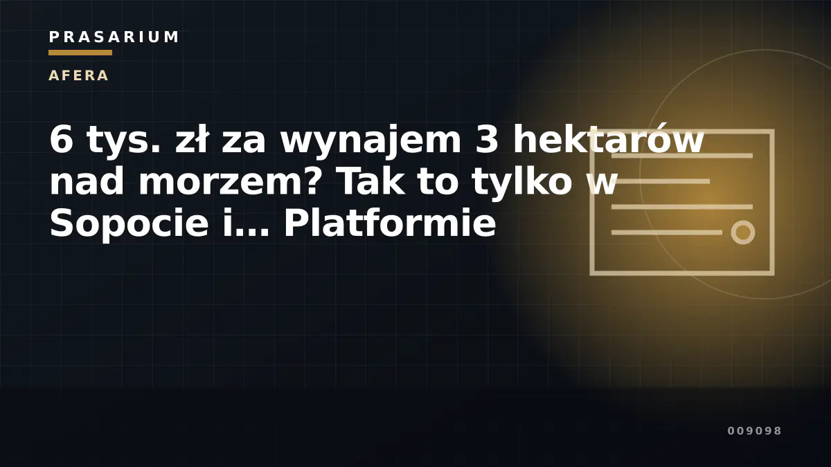 6 tys. zł za wynajem 3 hektarów nad morzem? Tak to tylko w Sopocie i… Platformie