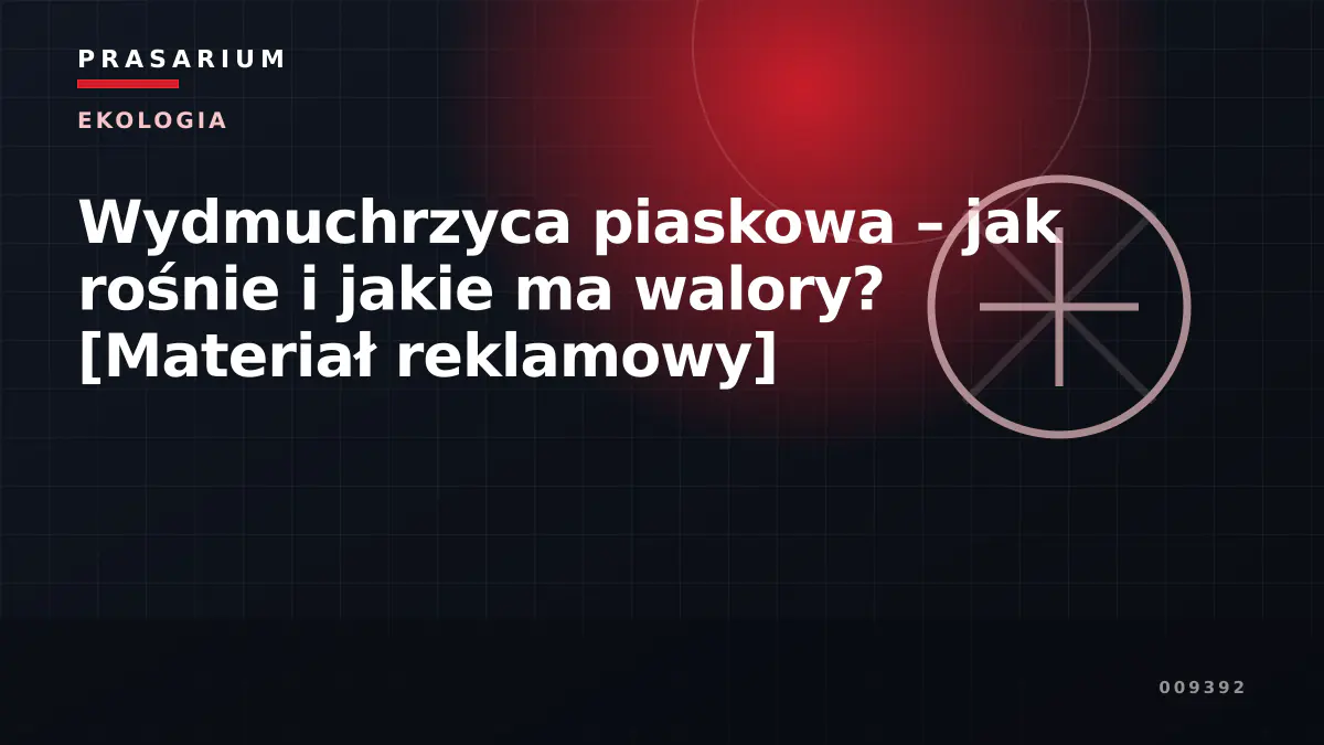 Wydmuchrzyca piaskowa – jak rośnie i jakie ma walory? [Materiał reklamowy]