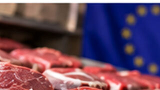 UE ogranicza część importu mięsa z Brazylii. Polscy rolnicy zyskują czas